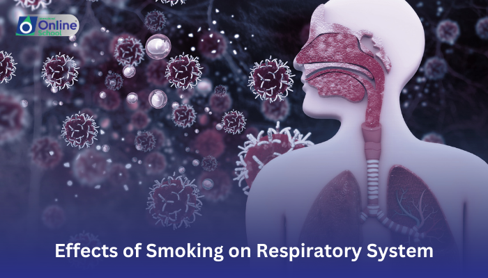 Lesson 10: Effects of Smoking on Respiratory System